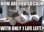 funny-cats-with-9-lives